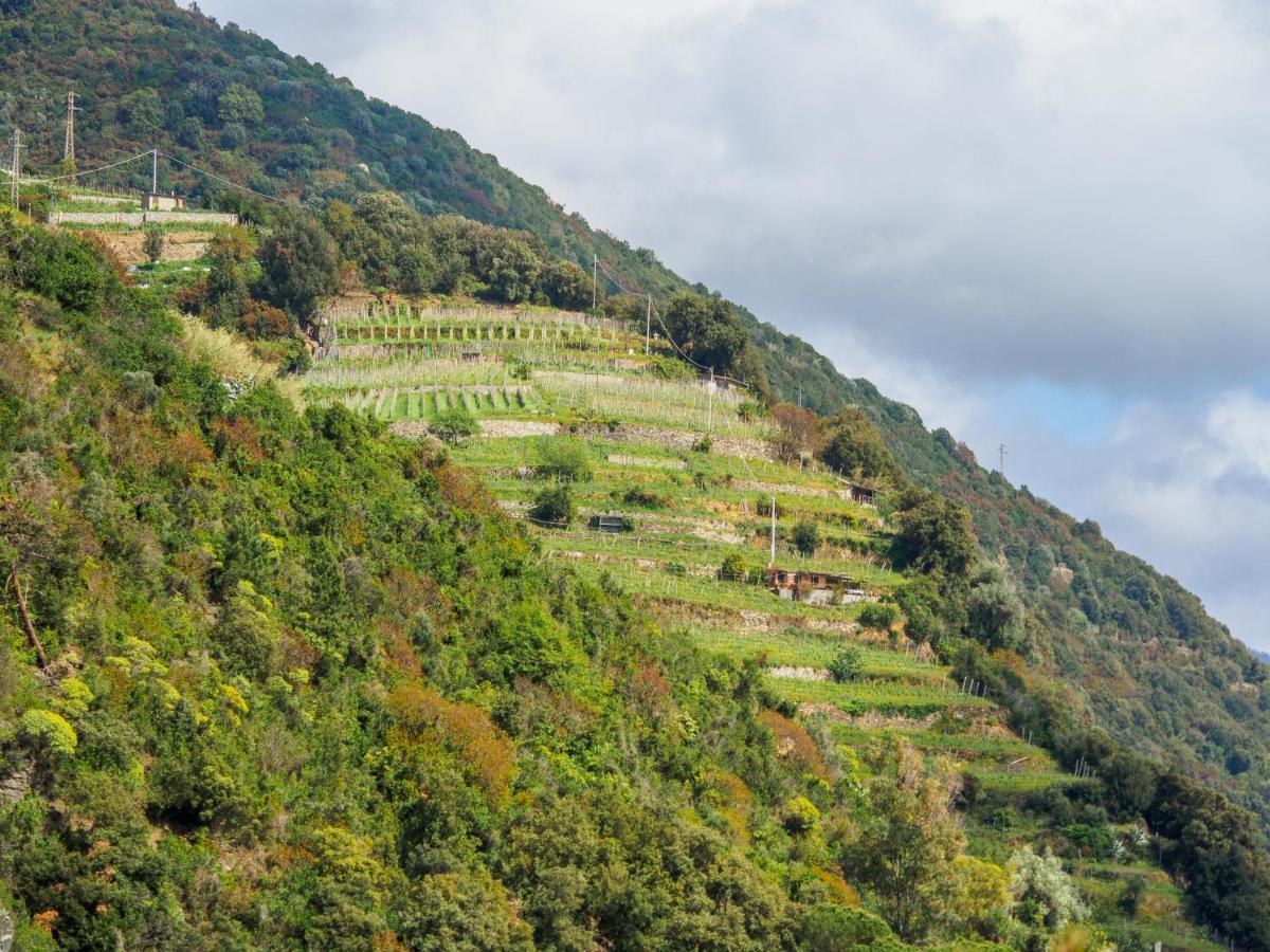 Villa Tanca With Ac, Terrace And Views 몬테로소 알 마레 외부 사진